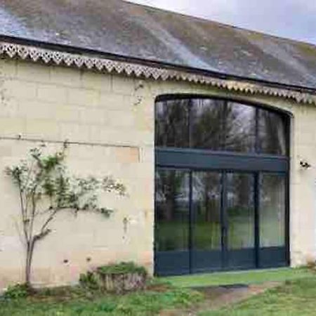 Le Logis De La Tour Saint Jacques Βίλα Chouzé-sur-Loire Εξωτερικό φωτογραφία