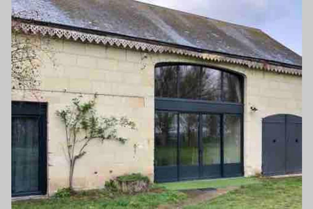 Le Logis De La Tour Saint Jacques Βίλα Chouzé-sur-Loire Εξωτερικό φωτογραφία