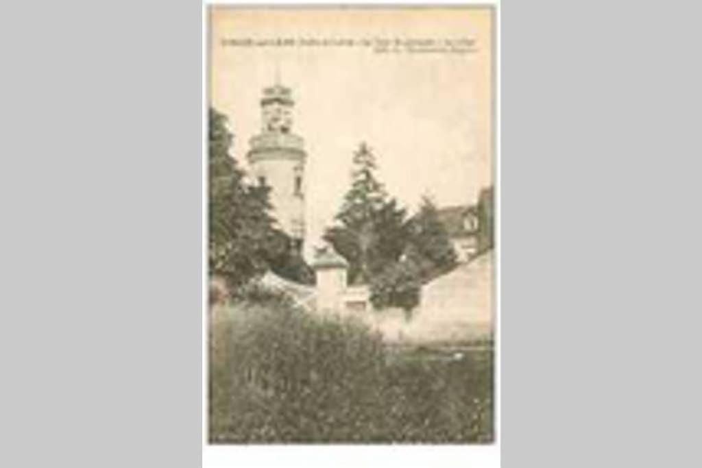 Le Logis De La Tour Saint Jacques Βίλα Chouzé-sur-Loire Εξωτερικό φωτογραφία
