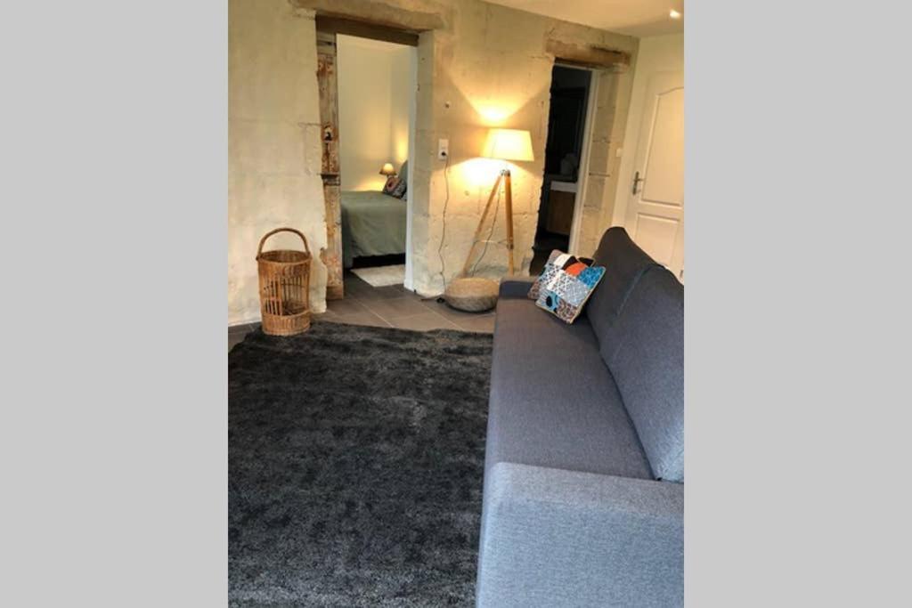 Le Logis De La Tour Saint Jacques Βίλα Chouzé-sur-Loire Εξωτερικό φωτογραφία