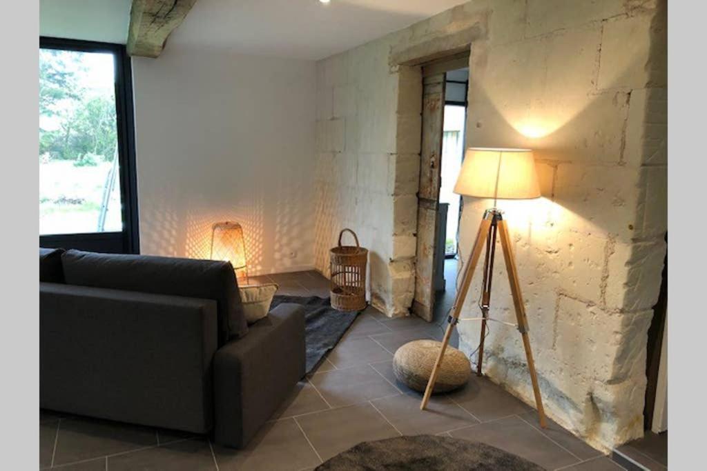 Le Logis De La Tour Saint Jacques Βίλα Chouzé-sur-Loire Εξωτερικό φωτογραφία