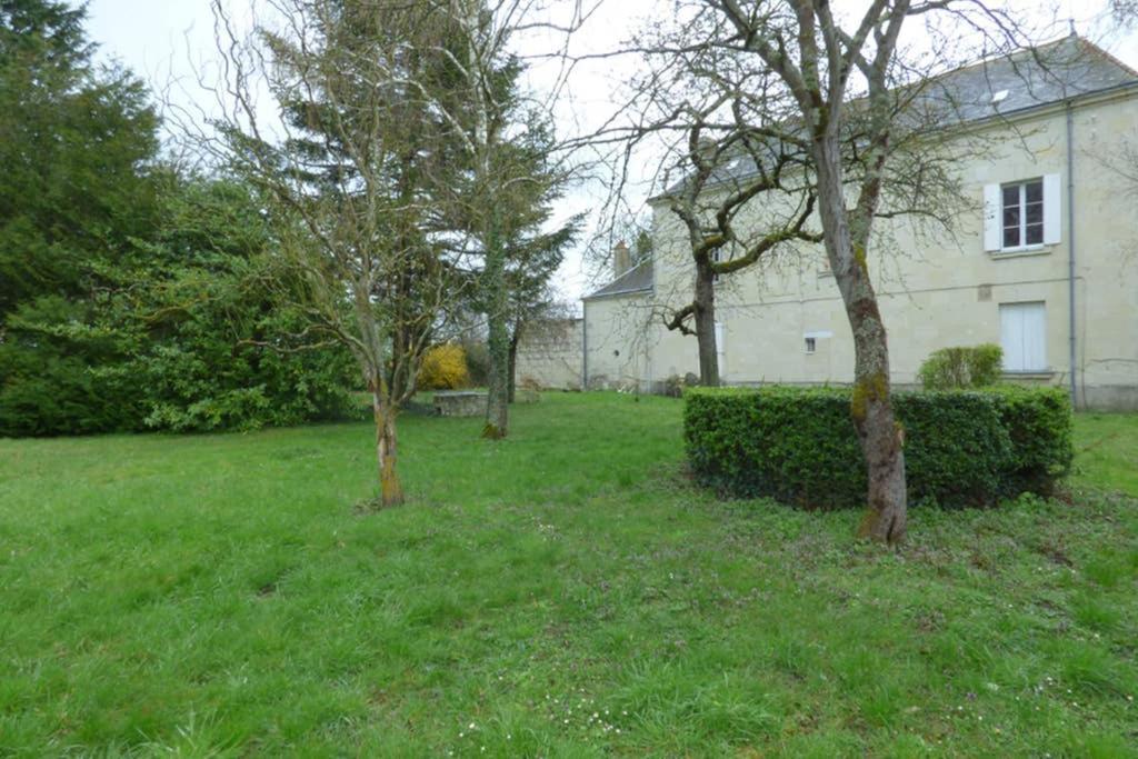 Le Logis De La Tour Saint Jacques Βίλα Chouzé-sur-Loire Εξωτερικό φωτογραφία