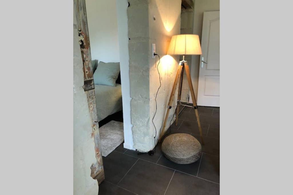 Le Logis De La Tour Saint Jacques Βίλα Chouzé-sur-Loire Εξωτερικό φωτογραφία